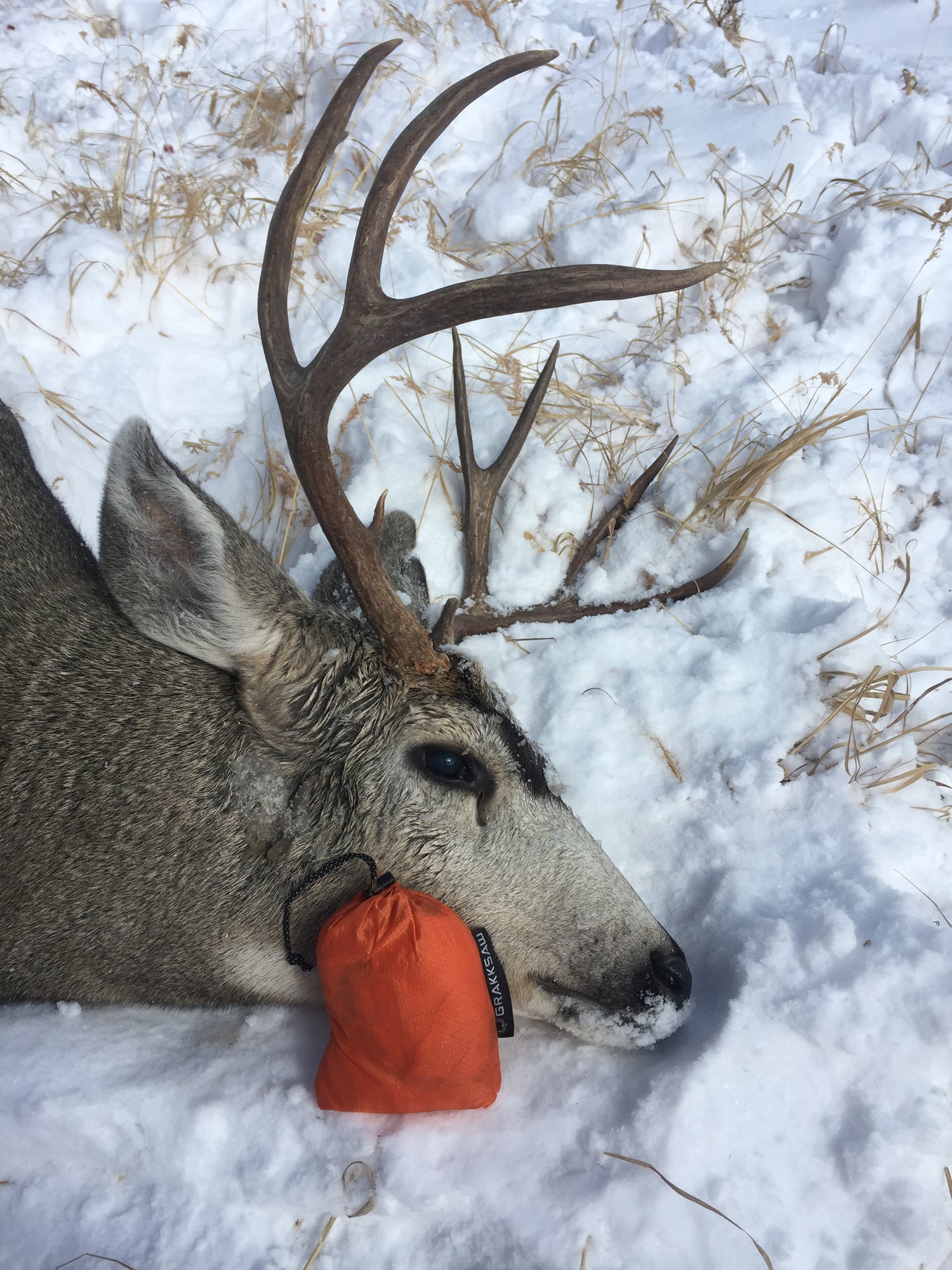 Ultralight Game Bags - USA MADE image 0