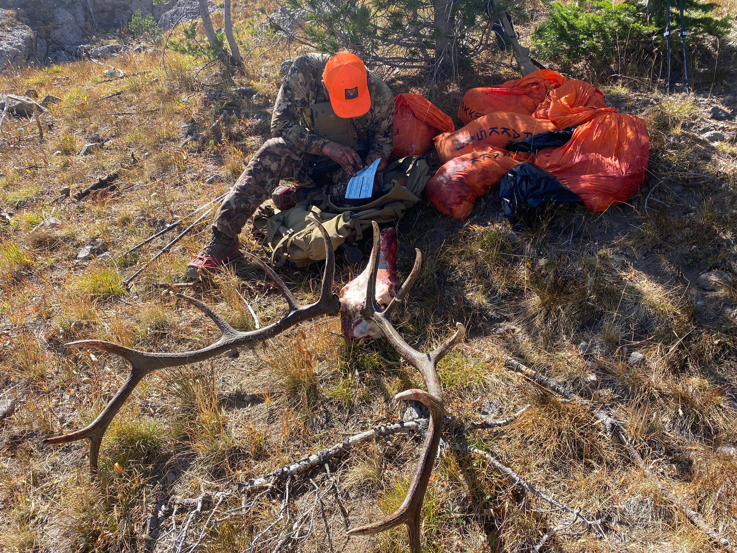 Elk Game Bags - Bone in