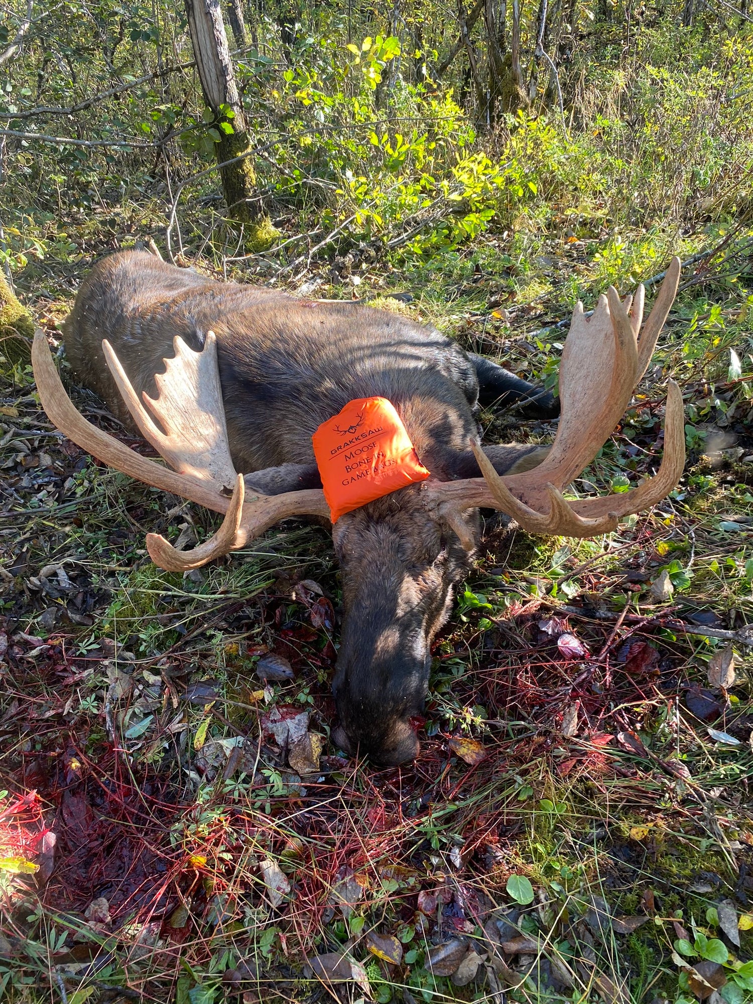 Moose Game Bags image 0